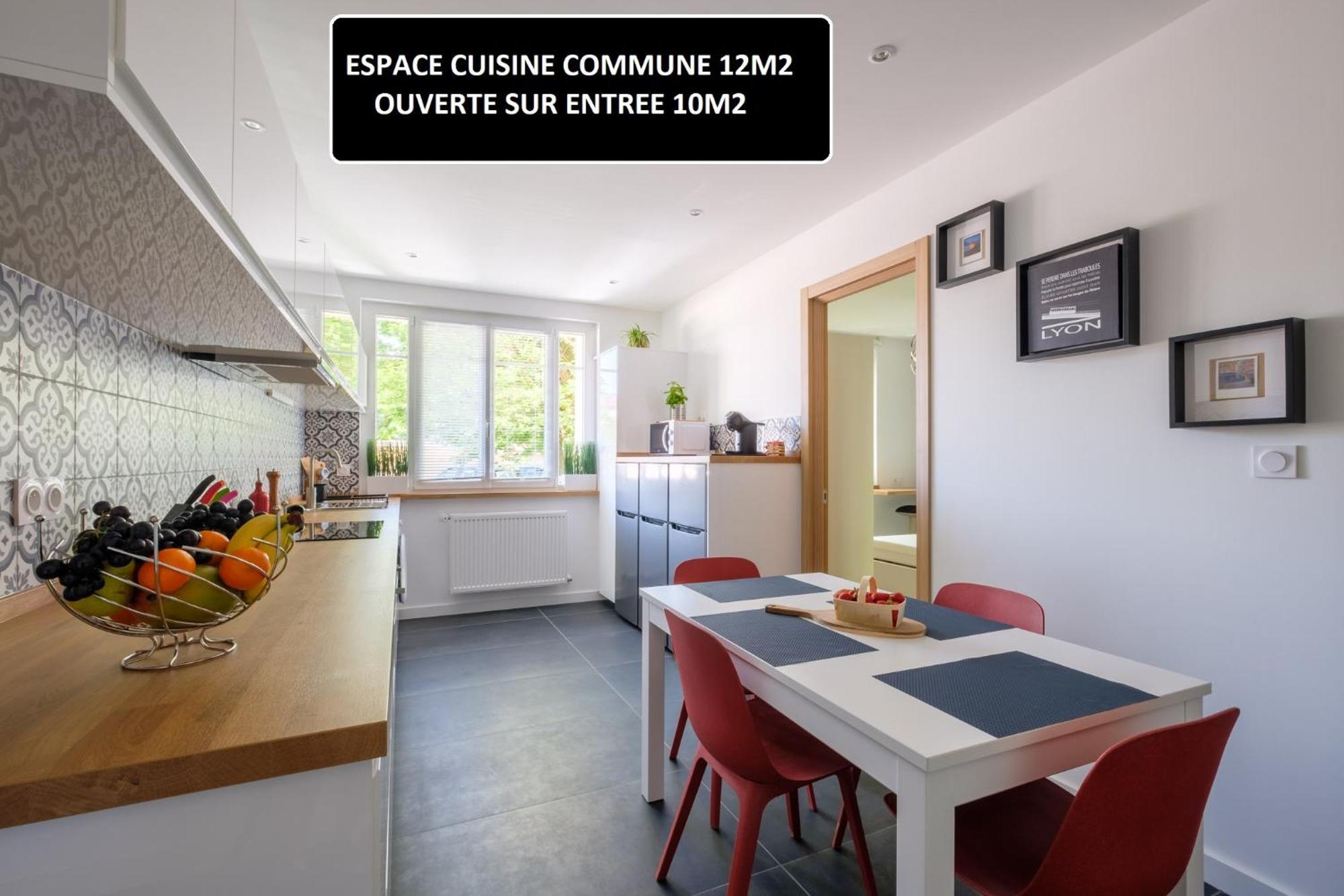 Appart 3 Suites-Chaque Suite Avec Sdo Wc Privatifs - Cuisine Commune Tassin-la-Demi-Lune Exterior foto